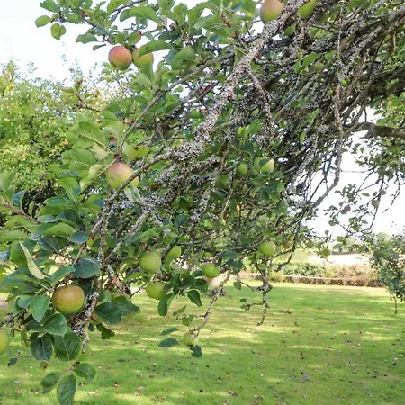 Beehive Vakantiehuis Kilbrittain