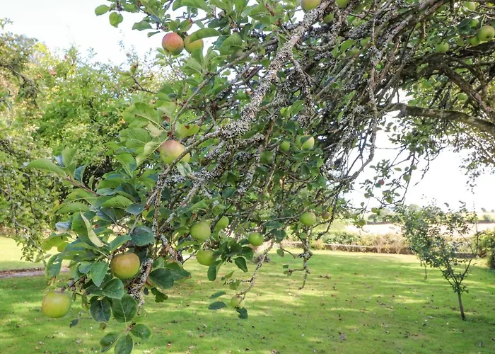 Beehive 別荘 Kilbrittain