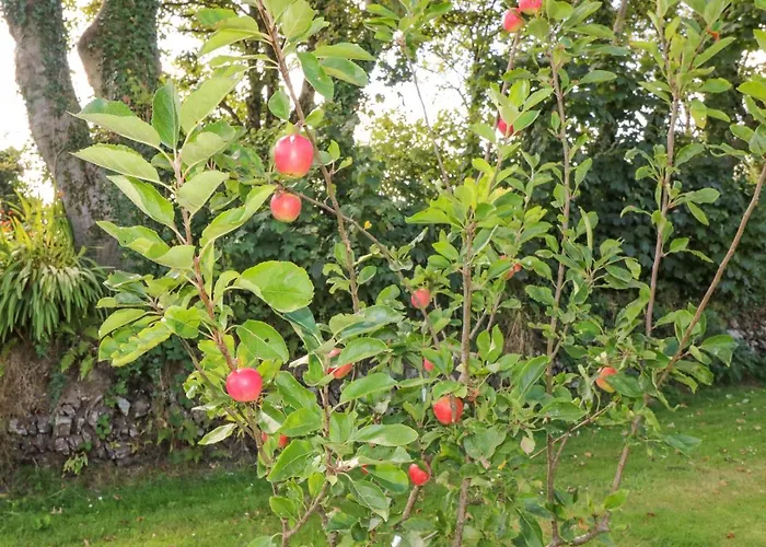 別荘 Beehive Kilbrittain